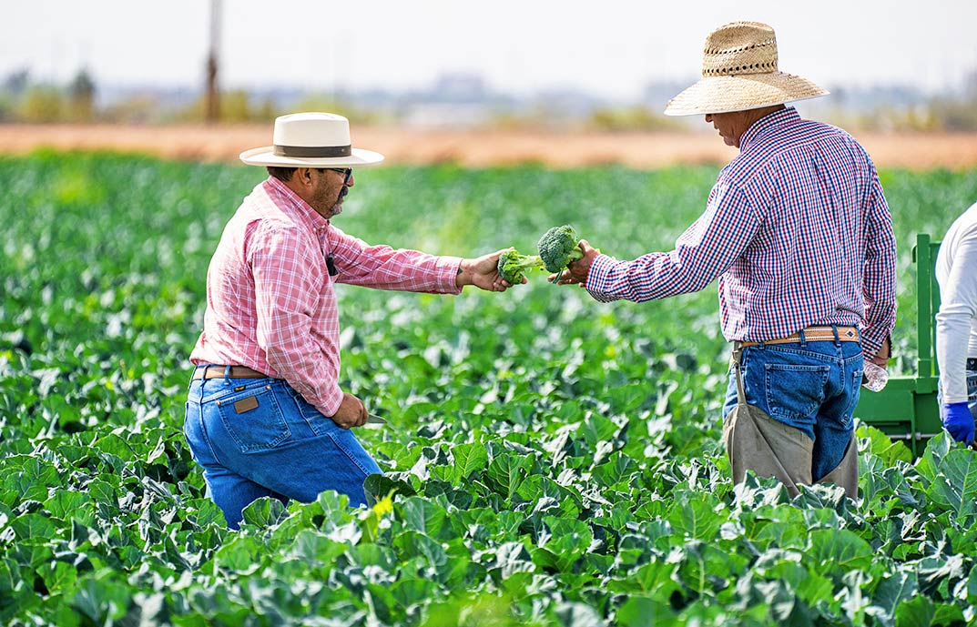 naturbrand Fertilizantes Naturales y Eficientes